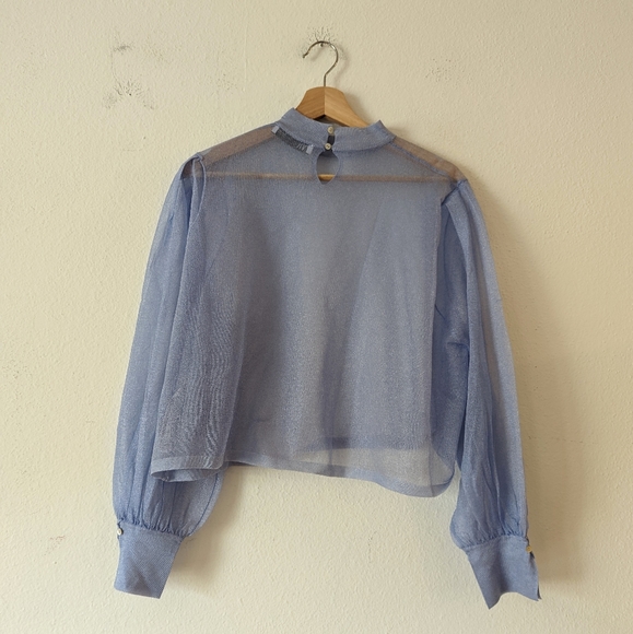 Zara Sheer Shimmer Blouse - Picture 7 of 10